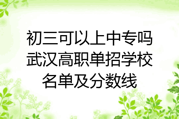 初三可以上中专吗武汉高职单招学校名单及分数线