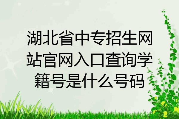 湖北省中专招生网站官网入口查询学籍号是什么号码