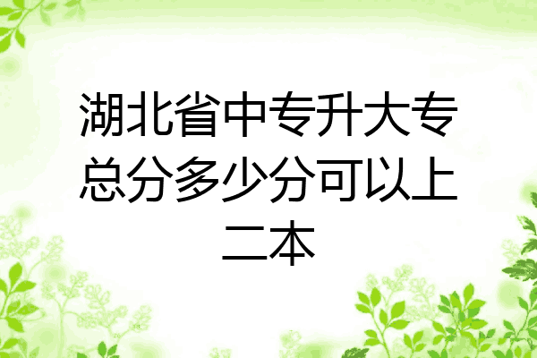 湖北省中专升大专总分多少分可以上二本