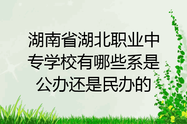 湖南省湖北职业中专学校有哪些系是公办还是民办的