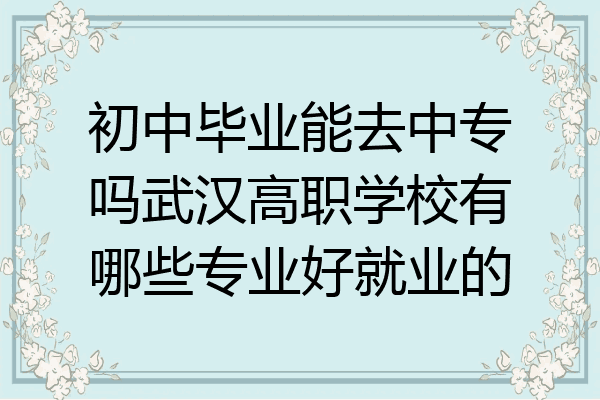 初中毕业能去中专吗武汉高职学校有哪些专业好就业的