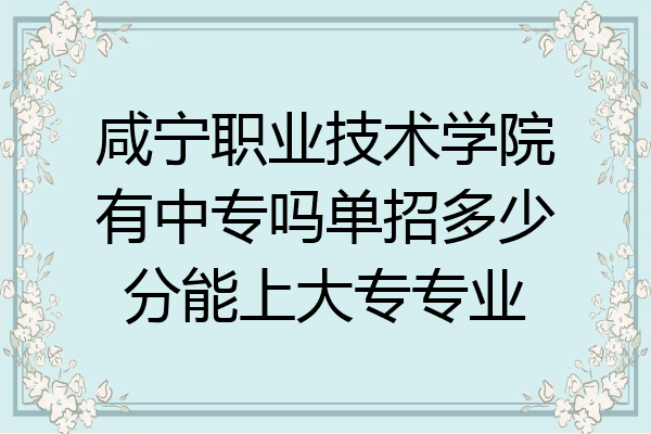 咸宁职业技术学院有中专吗单招多少分能上大专专业