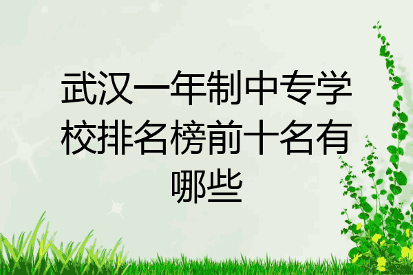 武汉一年制中专学校排名榜前十名有哪些