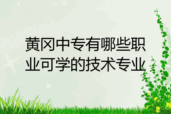 黄冈中专有哪些职业可学的技术专业