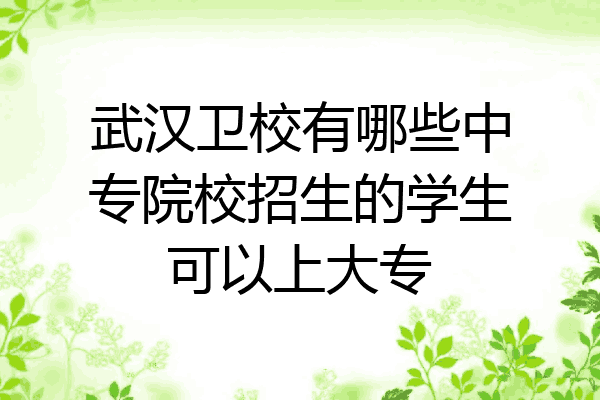 武汉卫校有哪些中专院校招生的学生可以上大专