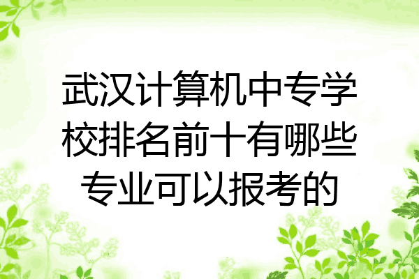 武汉计算机中专学校排名前十有哪些专业可以报考的