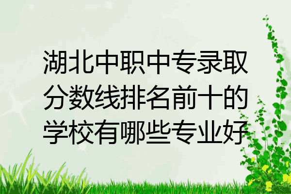 湖北中职中专录取分数线排名前十的学校有哪些专业好