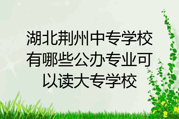 湖北荆州中专学校有哪些公办专业可以读大专学校