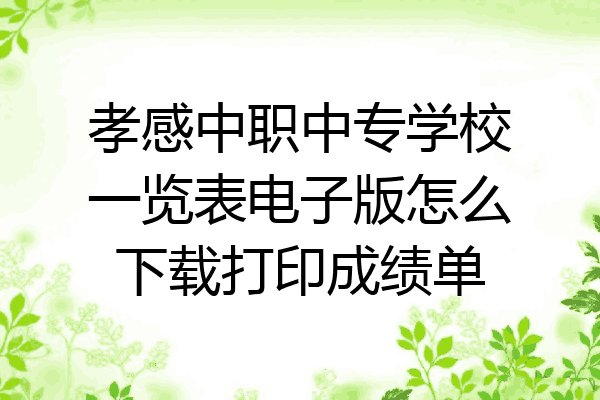 孝感中职中专学校一览表电子版怎么下载打印成绩单