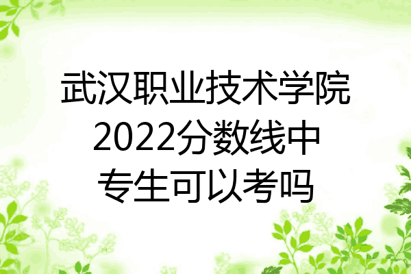 武汉职业技术学院2022分数线中专生可以考吗