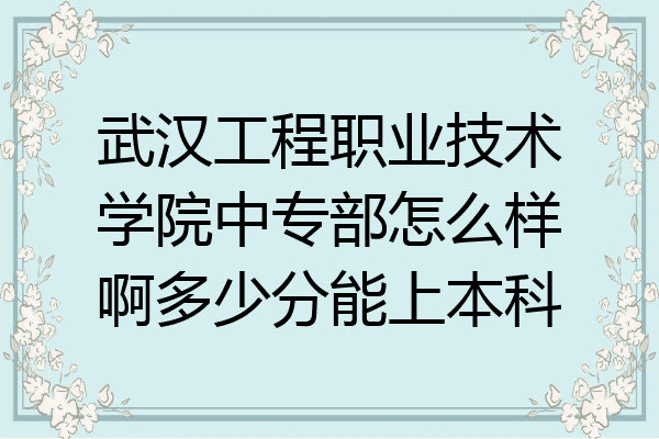 武汉工程职业技术学院中专部怎么样啊多少分能上本科