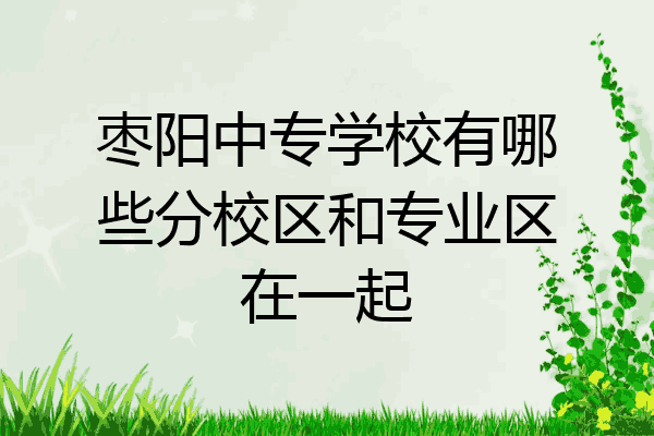 枣阳中专学校有哪些分校区和专业区在一起