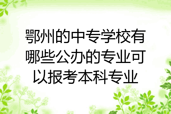 鄂州的中专学校有哪些公办的专业可以报考本科专业