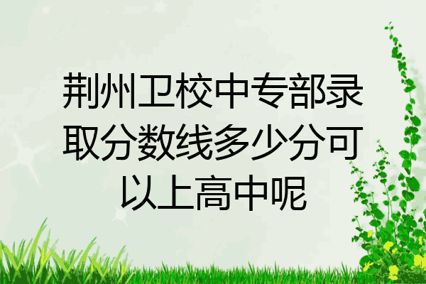荆州卫校中专部录取分数线多少分可以上高中呢