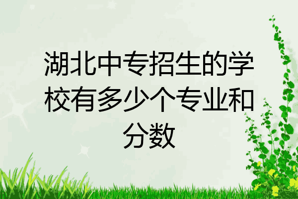 湖北中专招生的学校有多少个专业和分数