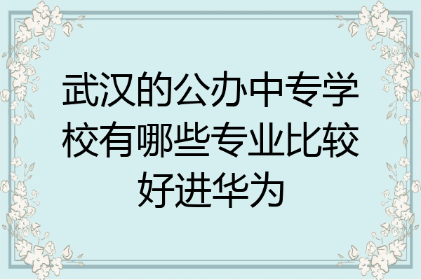 武汉的公办中专学校有哪些专业比较好进华为