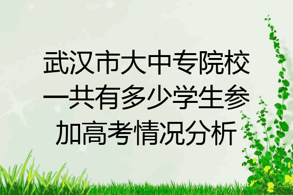 武汉市大中专院校一共有多少学生参加高考情况分析