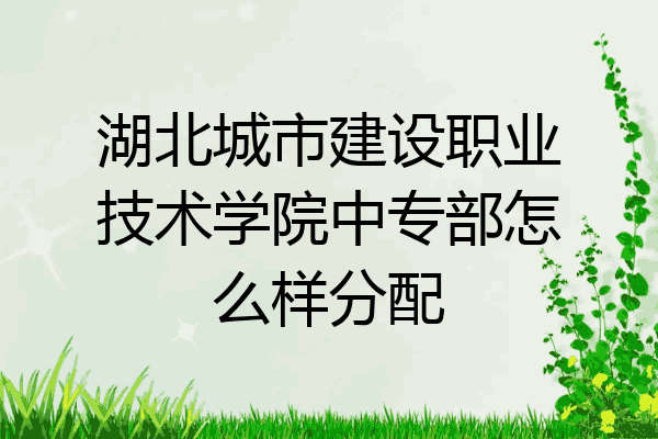 湖北城市建设职业技术学院中专部怎么样分配