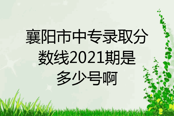 襄阳市中专录取分数线2021期是多少号啊