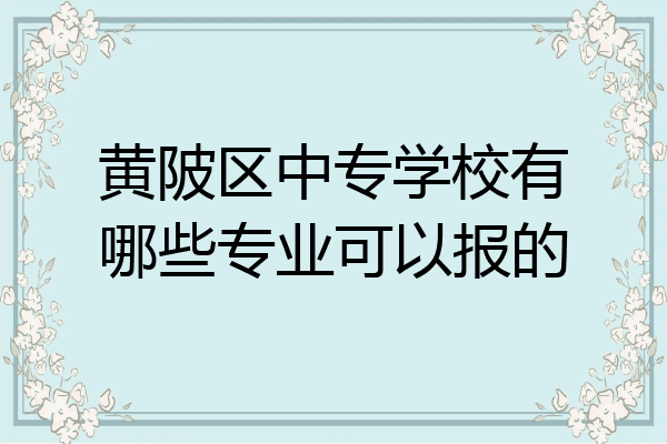 黄陂区中专学校有哪些专业可以报的