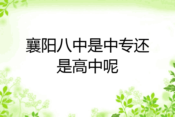 襄阳八中是中专还是高中呢