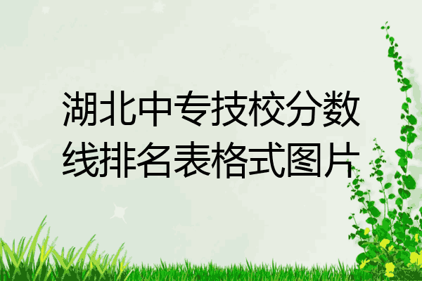 湖北中专技校分数线排名表格式图片