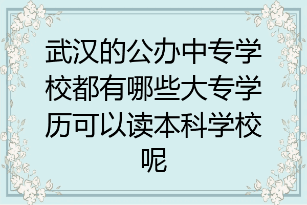 武汉的公办中专学校都有哪些大专学历可以读本科学校呢