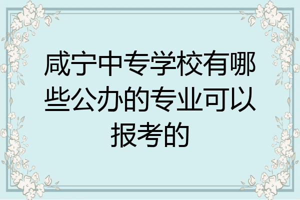 咸宁中专学校有哪些公办的专业可以报考的