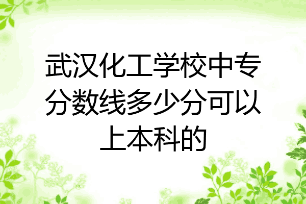 武汉化工学校中专分数线多少分可以上本科的