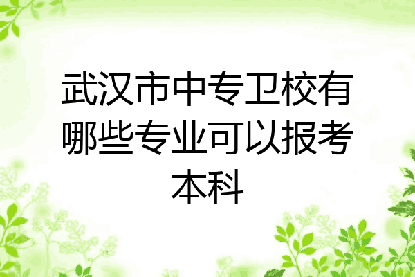 武汉市中专卫校有哪些专业可以报考本科