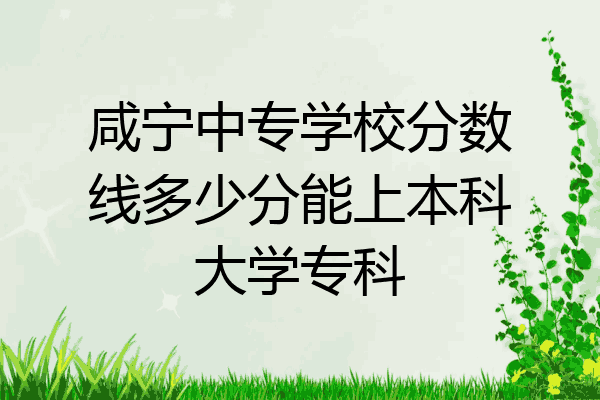 咸宁中专学校分数线多少分能上本科大学专科