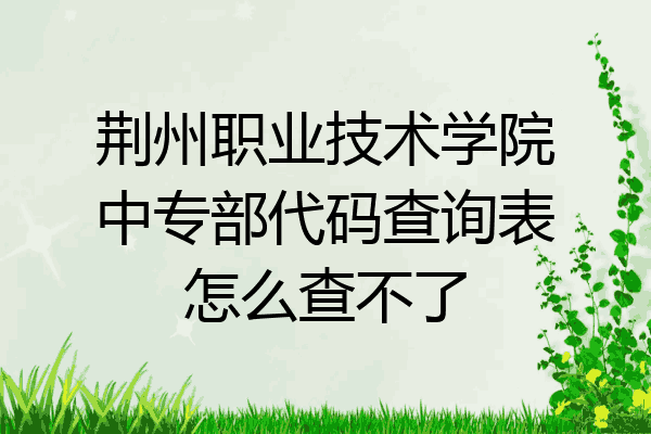 荆州职业技术学院中专部代码查询表怎么查不了