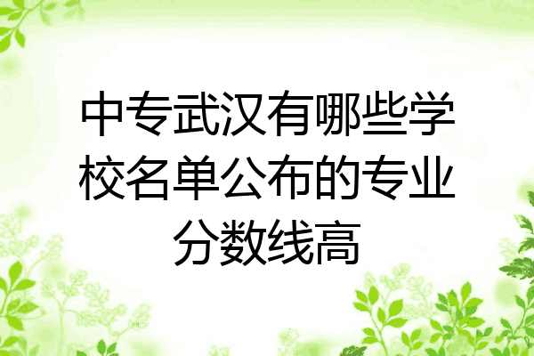 中专武汉有哪些学校名单公布的专业分数线高