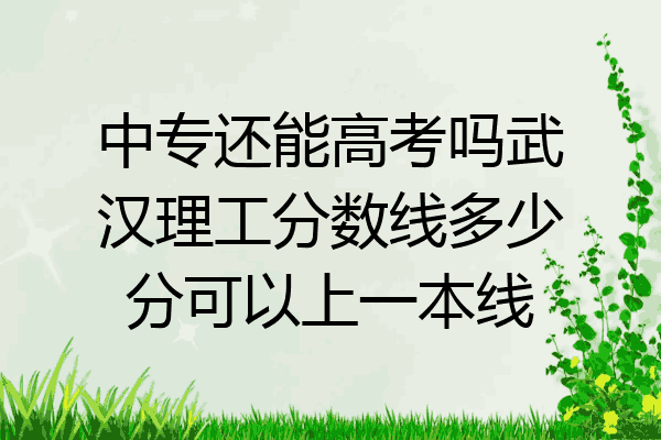 中专还能高考吗武汉理工分数线多少分可以上一本线