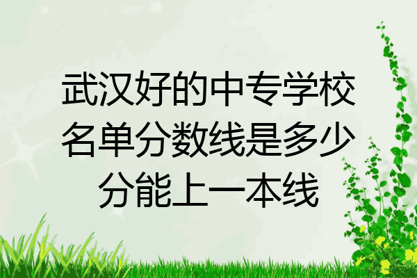 武汉好的中专学校名单分数线是多少分能上一本线
