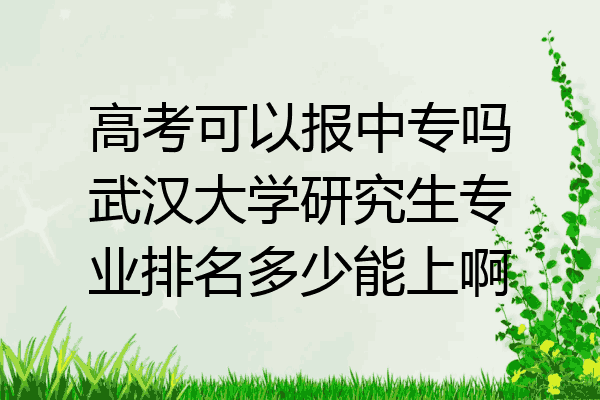 高考可以报中专吗武汉大学研究生专业排名多少能上啊