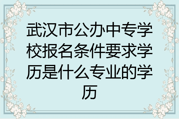 武汉市公办中专学校报名条件要求学历是什么专业的学历