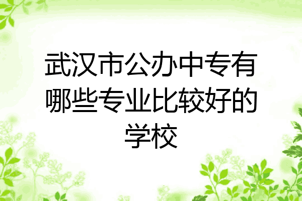武汉市公办中专有哪些专业比较好的学校