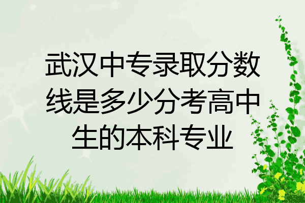 武汉中专录取分数线是多少分考高中生的本科专业