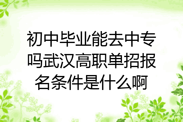 初中毕业能去中专吗武汉高职单招报名条件是什么啊