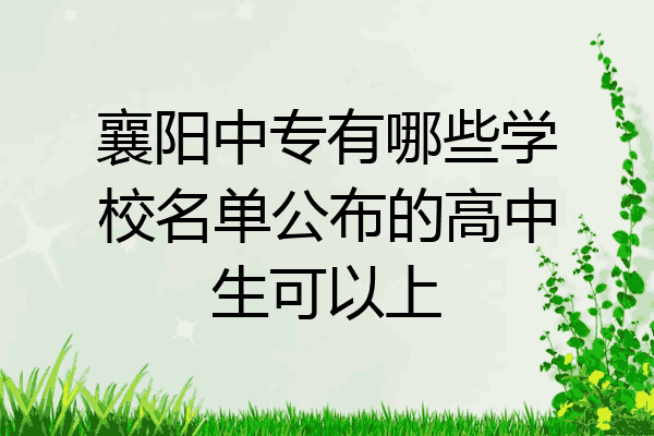 襄阳中专有哪些学校名单公布的高中生可以上