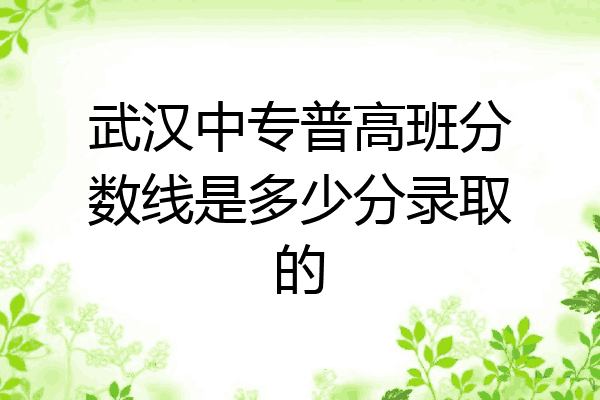 武汉中专普高班分数线是多少分录取的