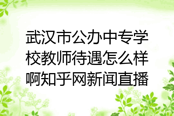 武汉市公办中专学校教师待遇怎么样啊知乎网新闻直播