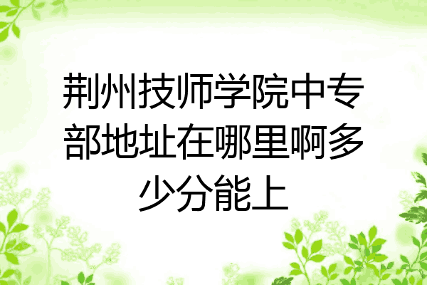 荆州技师学院中专部地址在哪里啊多少分能上