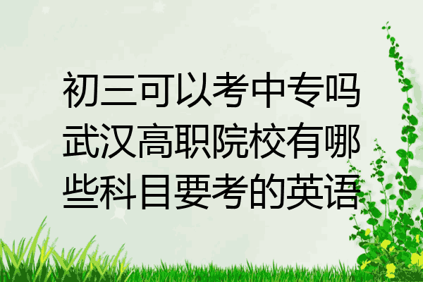 初三可以考中专吗武汉高职院校有哪些科目要考的英语