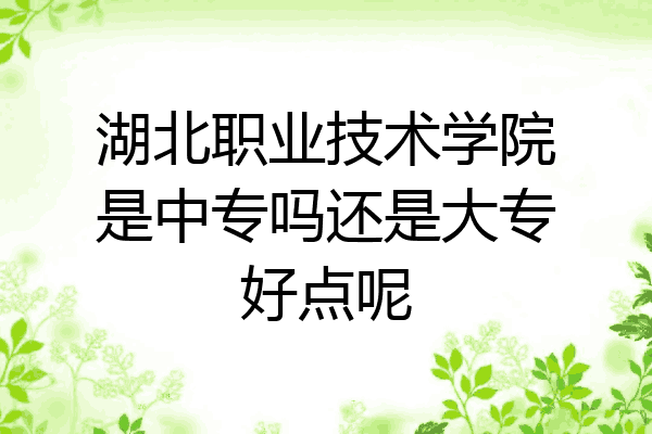湖北职业技术学院是中专吗还是大专好点呢
