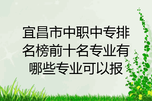 宜昌市中职中专排名榜前十名专业有哪些专业可以报