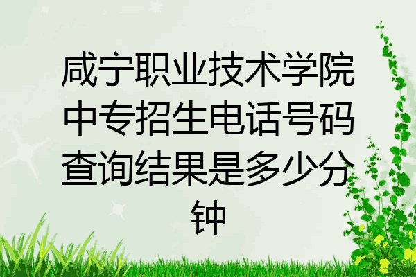 咸宁职业技术学院中专招生电话号码查询结果是多少分钟