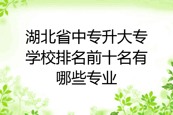 湖北省中专升大专学校排名前十名有哪些专业
