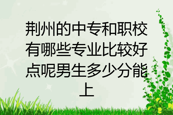 荆州的中专和职校有哪些专业比较好点呢男生多少分能上
